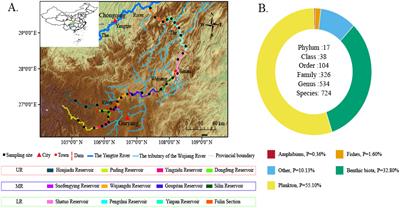 Environmental DNA (eDNA) reveals the effects of cascade dam development on the distribution patterns of aquatic biodiversity in mountain rivers